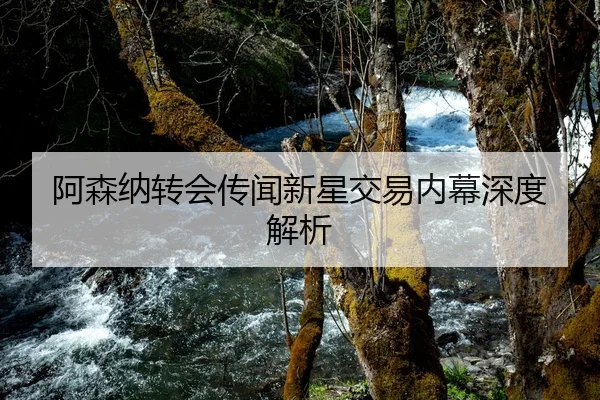 阿森纳转会传闻新星交易内幕深度解析